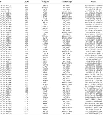 Strategy for Scanning Peptide-Coding Circular RNAs in Colorectal Cancer Based on Bioinformatics Analysis and Experimental Assays